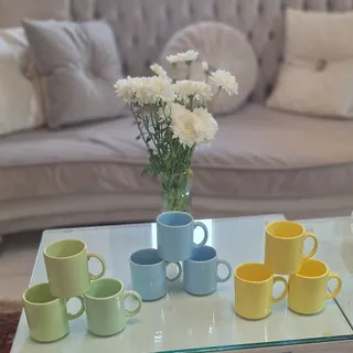 ماگهای زیبا و شاد