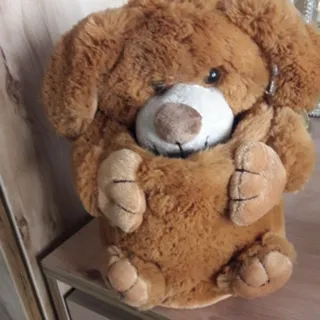 ارگانایزر پولیشی