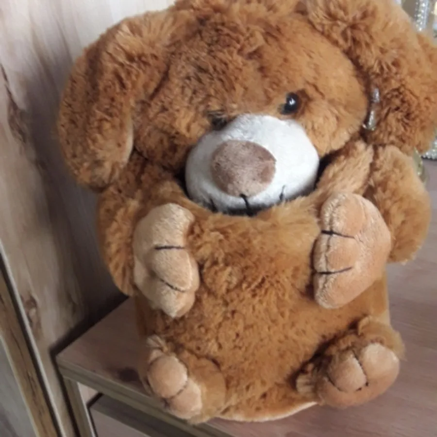 ارگانایزر پولیشی