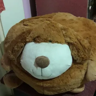 پاف کودک پولیشی