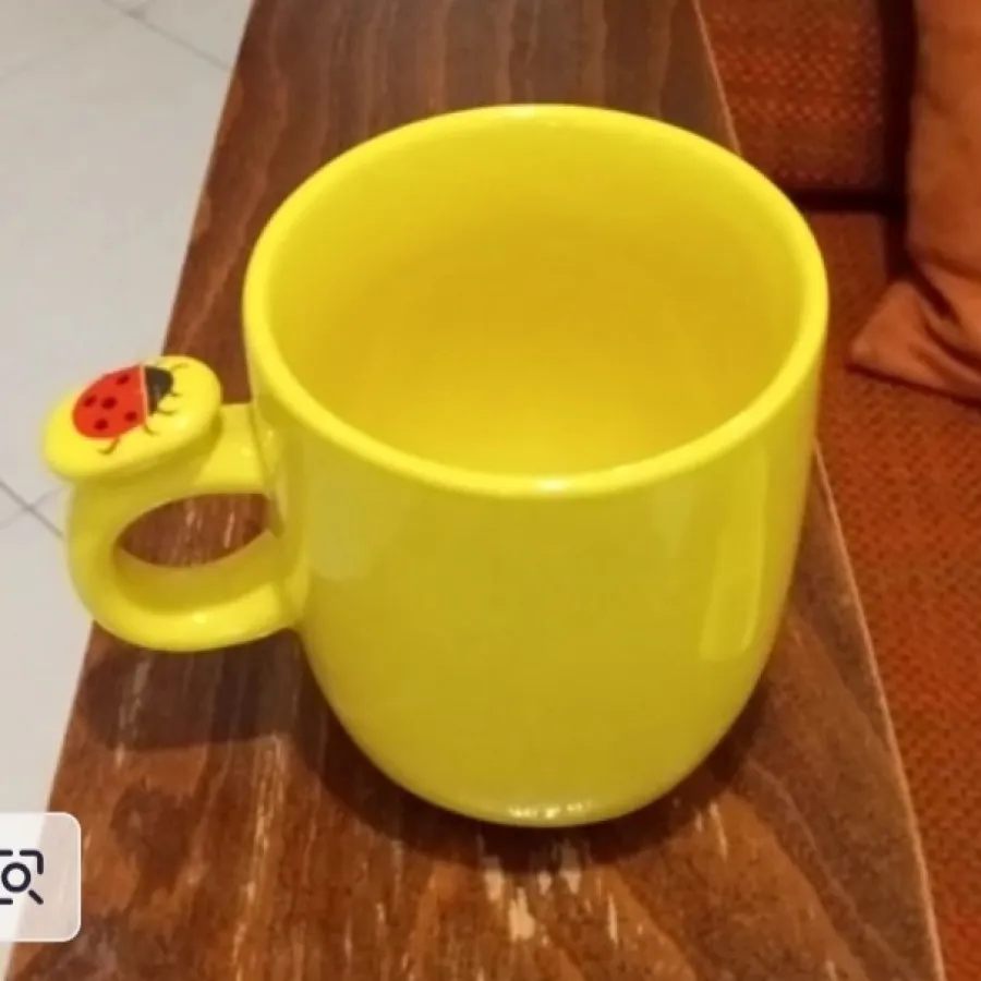 ماگ طرح کفشدوزک