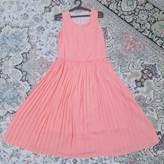 ساحلی  پلیسه