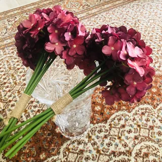 دوعدد گل هورتانسیا