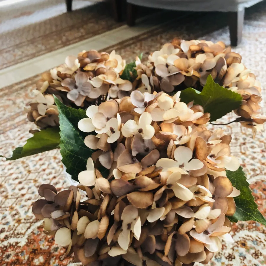 گل هورتانسیا