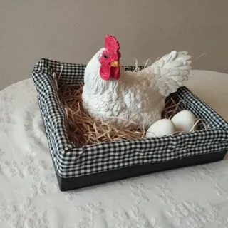 مرغ دکوراتیو