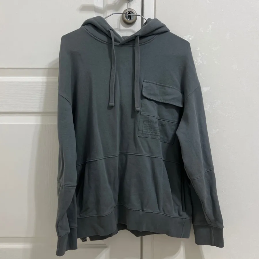 هودی دلفینی