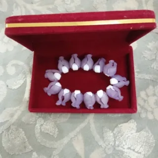 5 تا دستبند و پابند