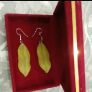 زَلَم زیمبو