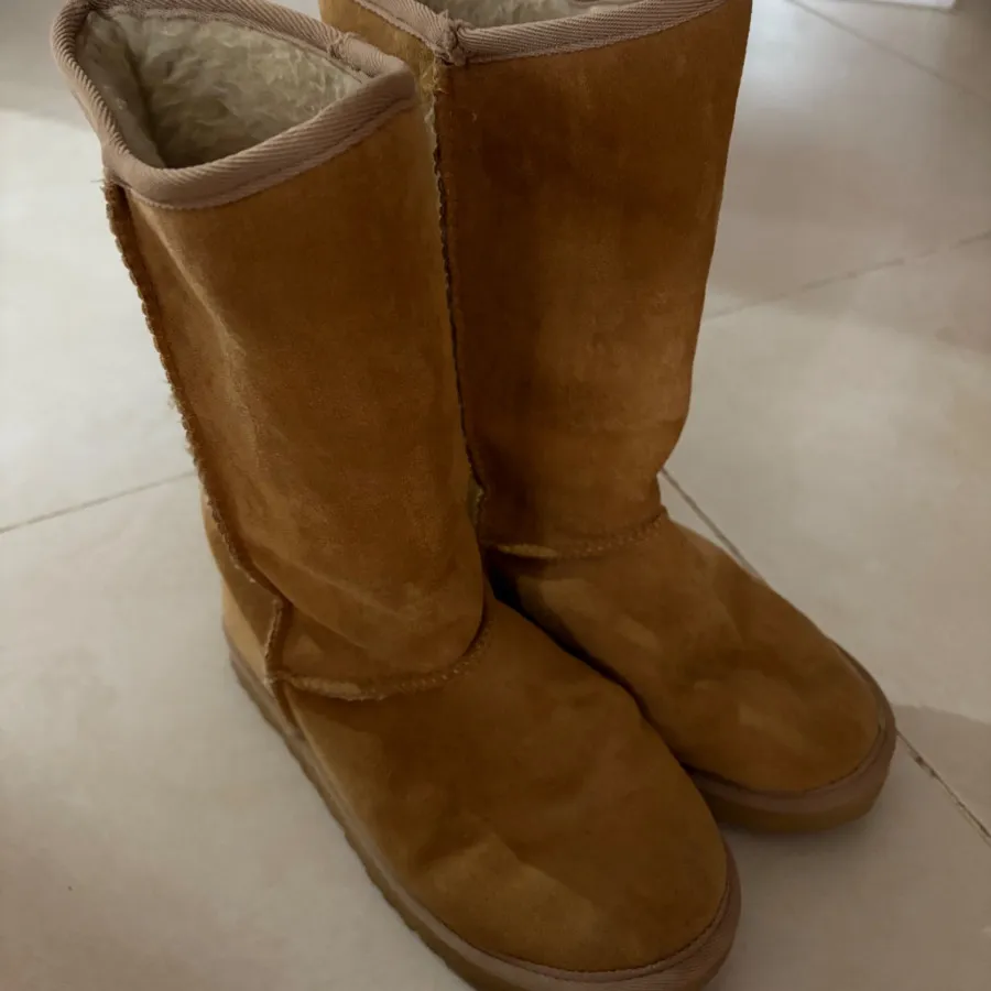 بوت آگ شتری