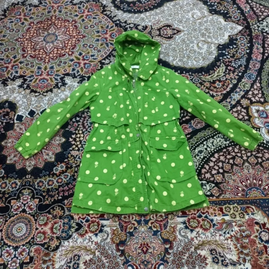 پالتو خارجی