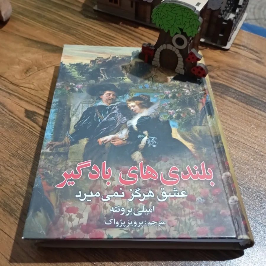 کتاب بلندی های بادگیر