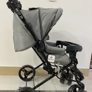 کالسکه مارک دلیجان