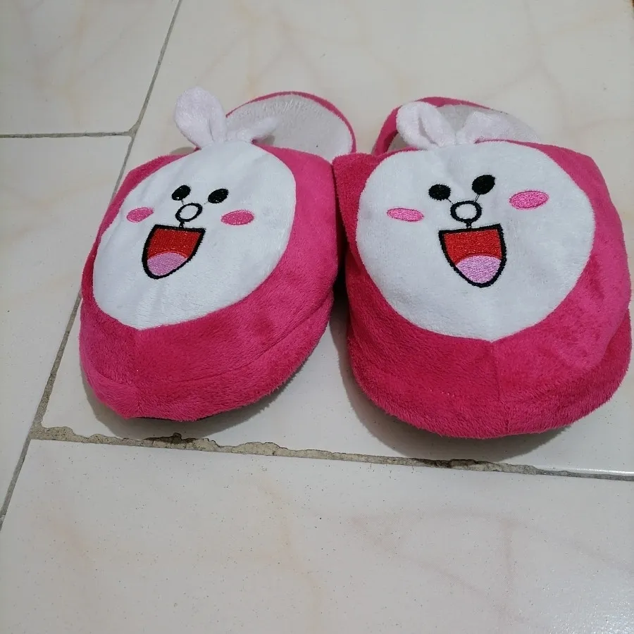 دمپایی پاپوشی