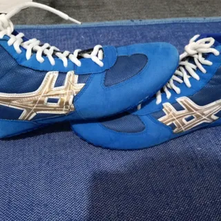 کفش کشتی اسیکس