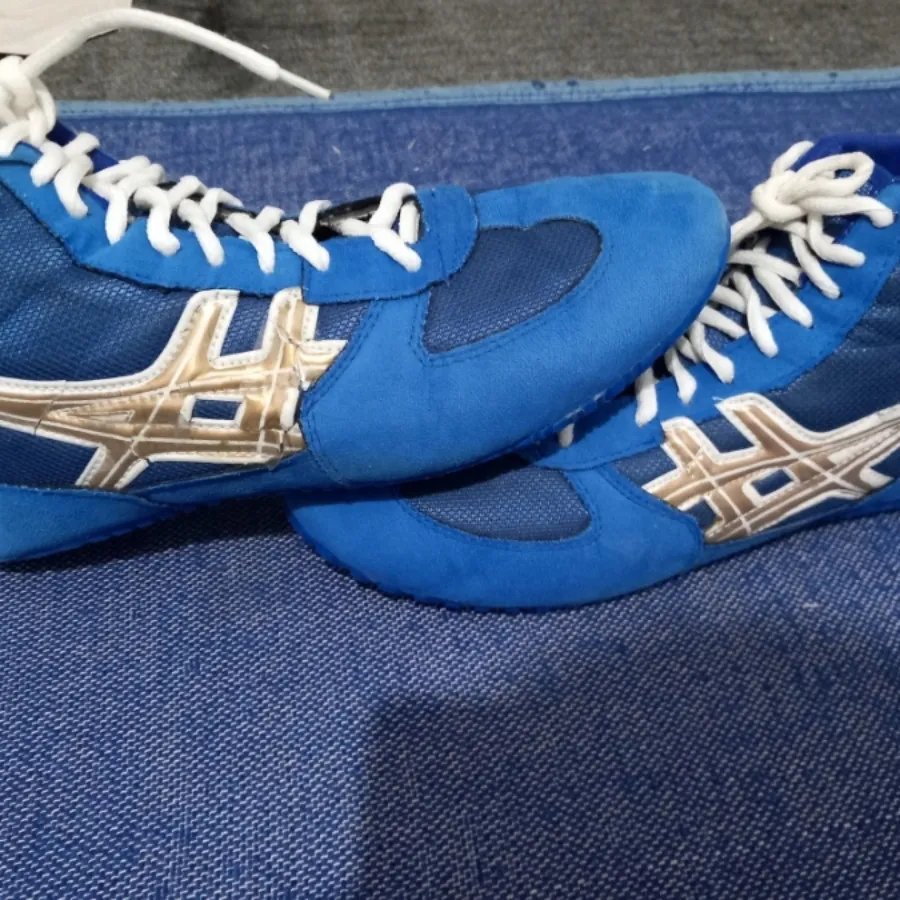 کفش کشتی اسیکس