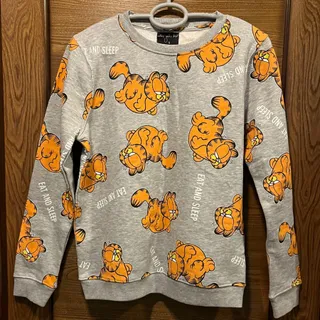 دورس گارفیلد خارجی