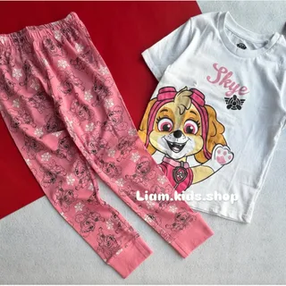 ست سگ نگهبان