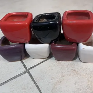 گلدان کاکتوسی