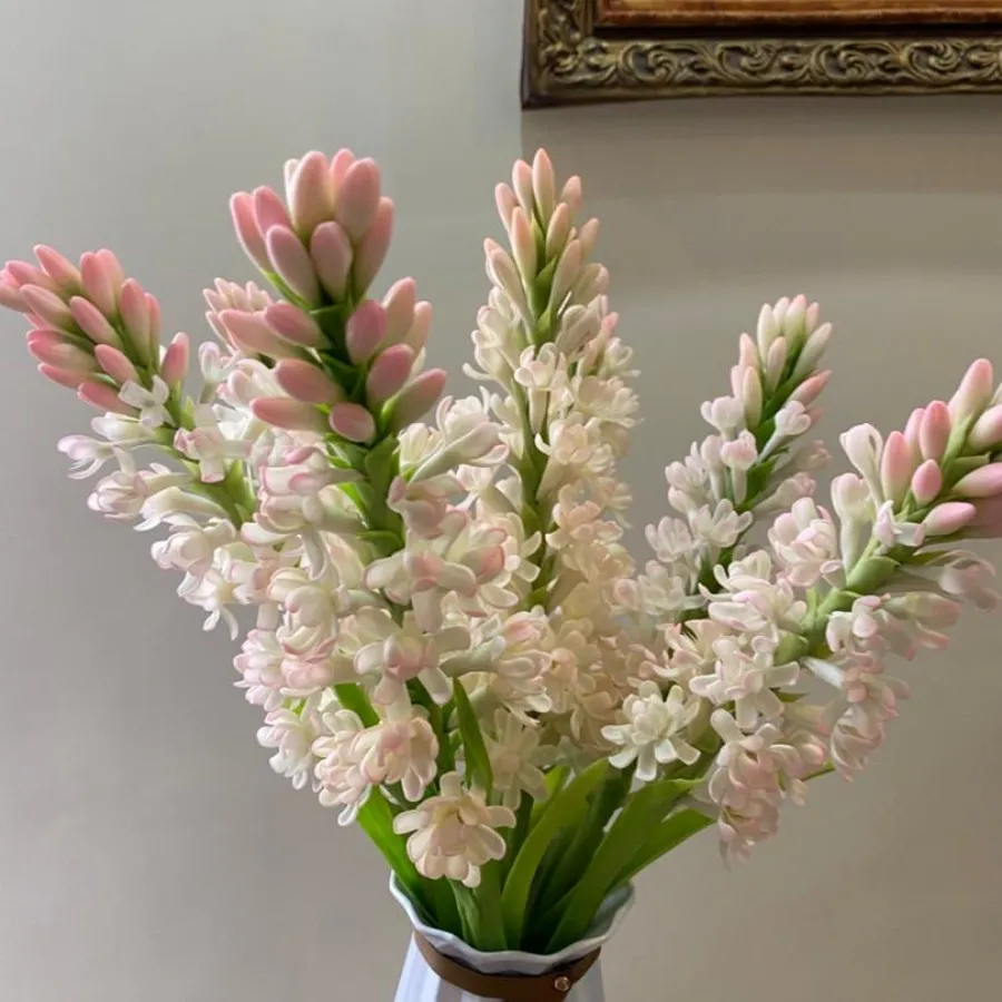 مریم های جاودان