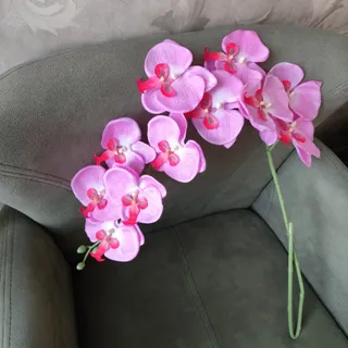 ارکیده لمسی