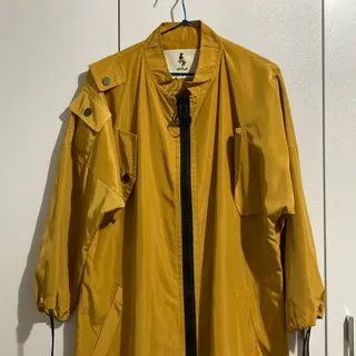 بارونی خردلی