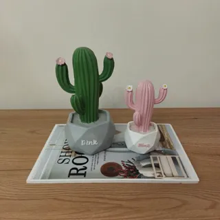 مجسمه کاکتوس