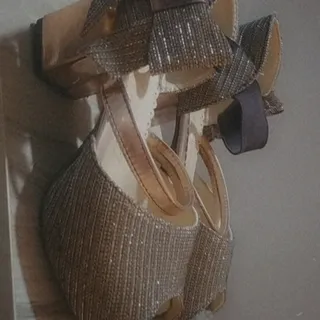 کفش مجلسی