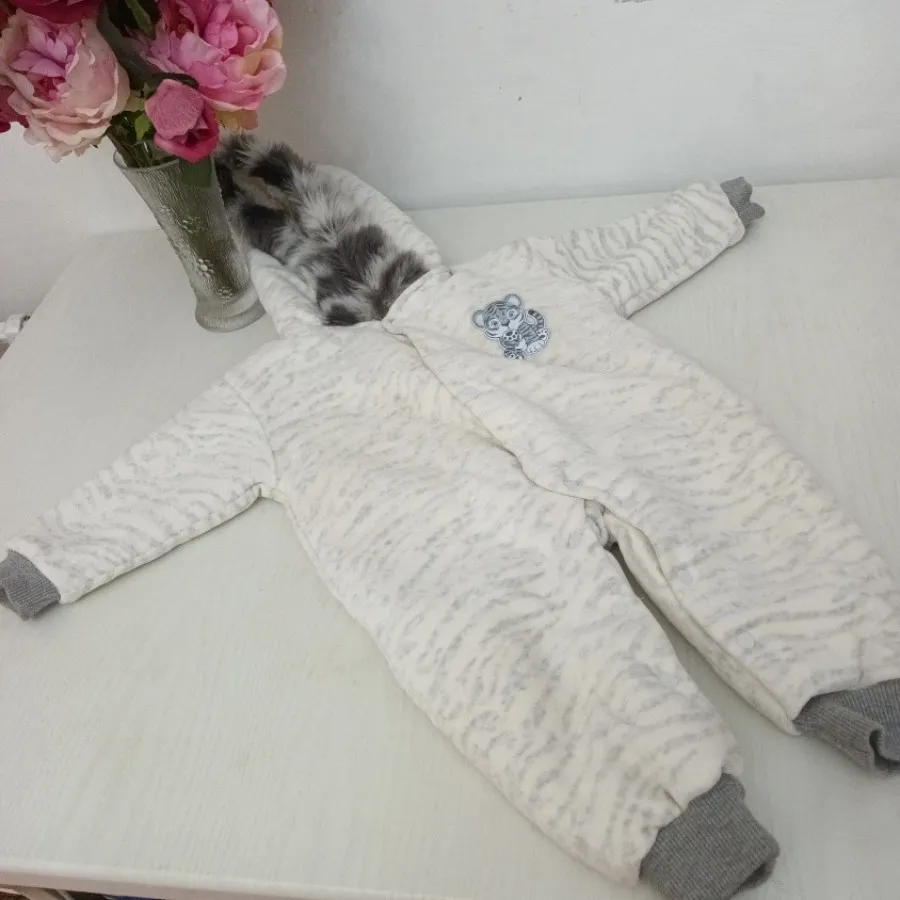 سرهمی ببعی داخل تدی