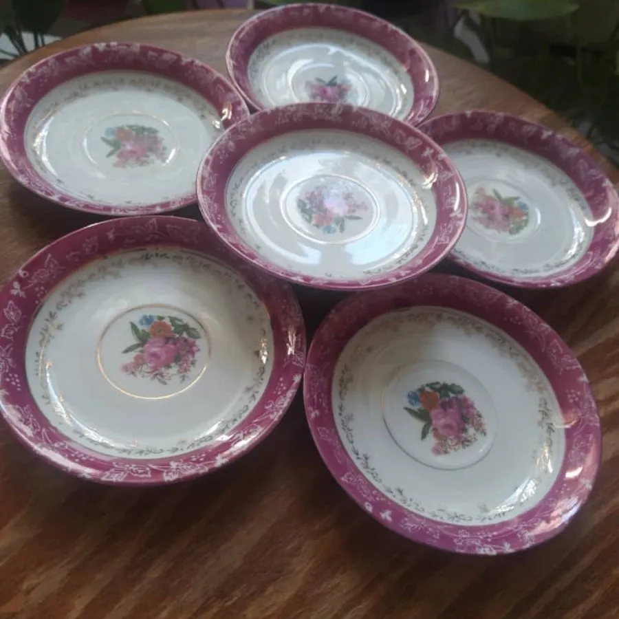 نعلبکی ژاپنی