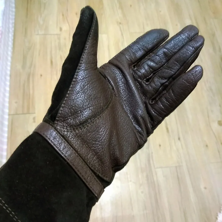 دستکش چرم مشهد