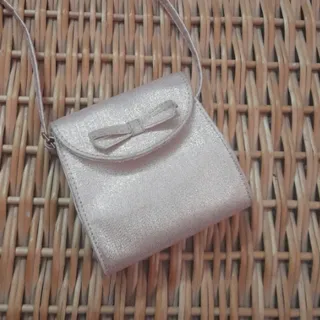 کیف شاین دار