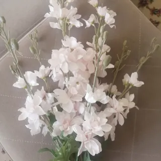 شکوفه بهاری