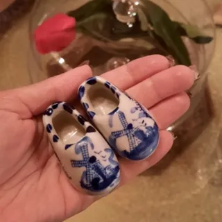 کفش دلف هلند