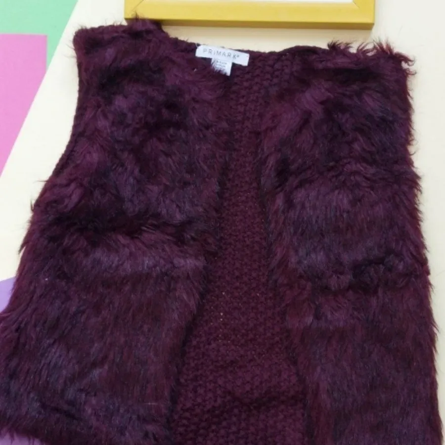 جلیقه مجلسی