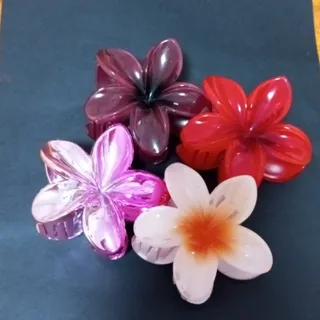 گیره مو پلومریا