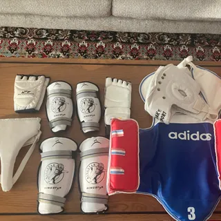 هوگو و وسایل تکواندو