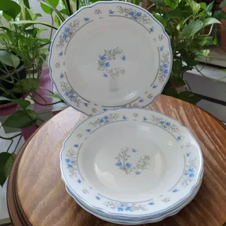 آرکوپال فرانسه