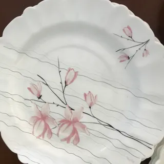 آرکوپال 6نفره بالیوان