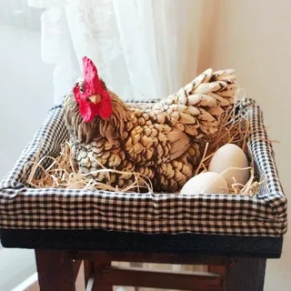 دکوری مرغ خانگی