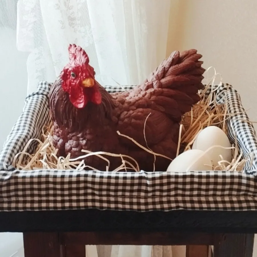 دکوری مرغ خانگی