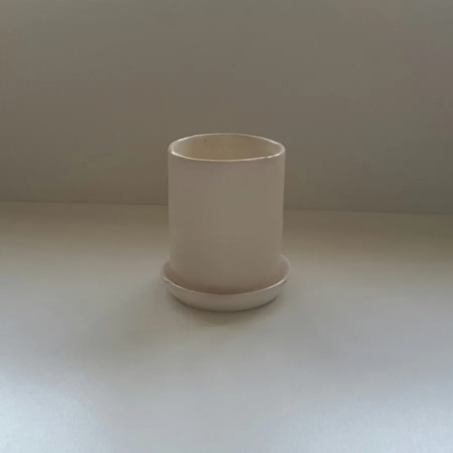 گلدانهای کوچک