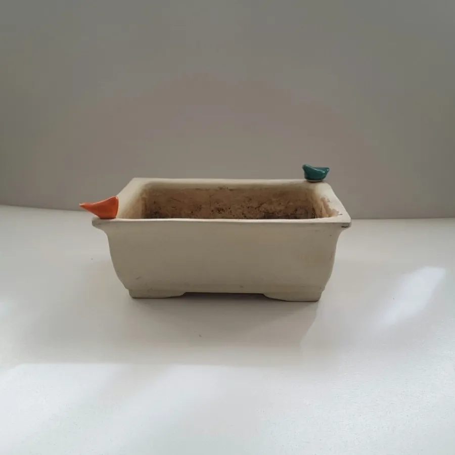 گلدانهای بنسای