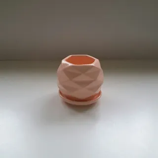 گلدانهای کوچک