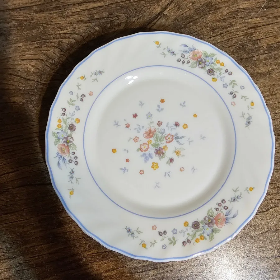 پیش دستی آرکوپال