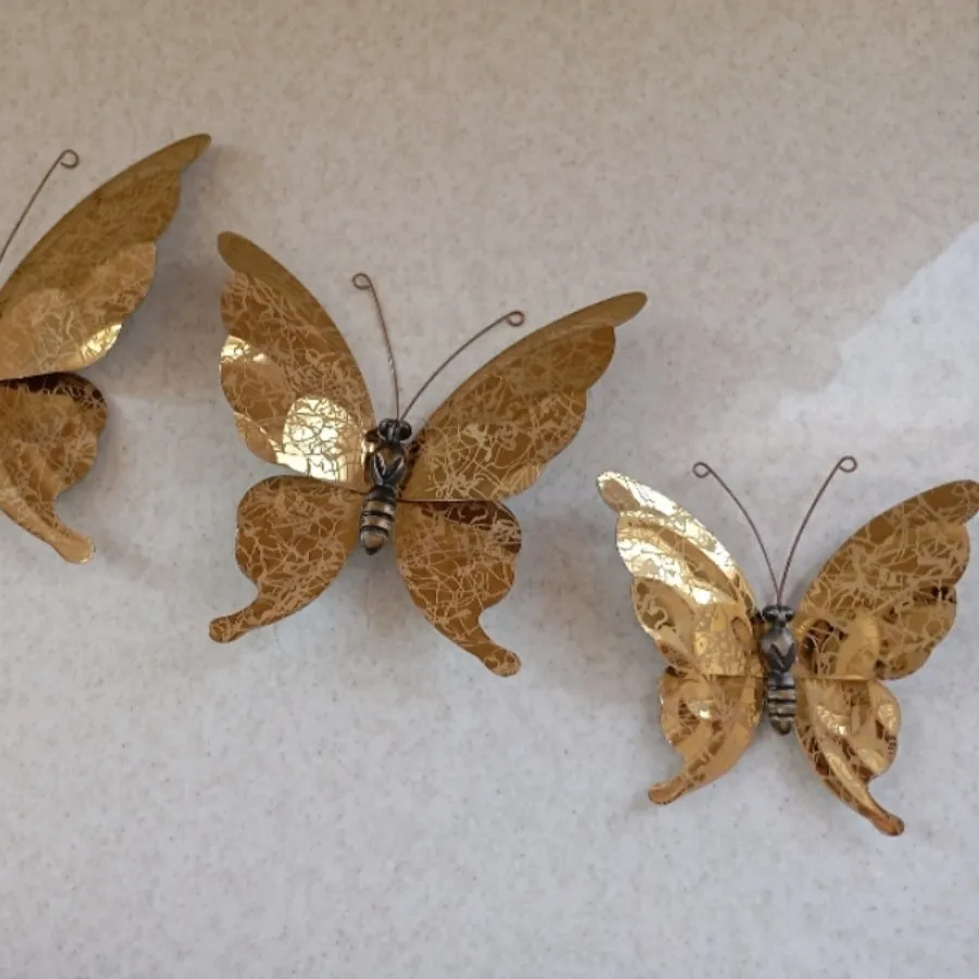 پروانه برنجی اصل