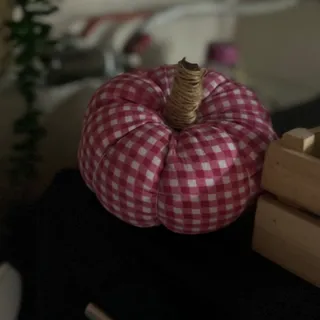 کدو پارچه‌ای