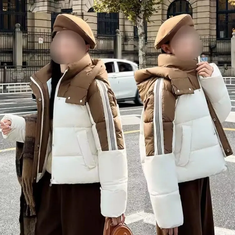 کاپسن کلاهدار