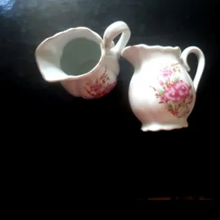 جا شکری یا جا سس