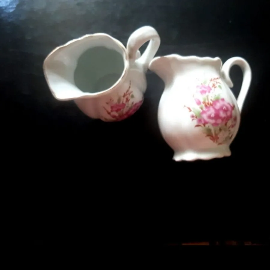 جا شکری یا جا سس