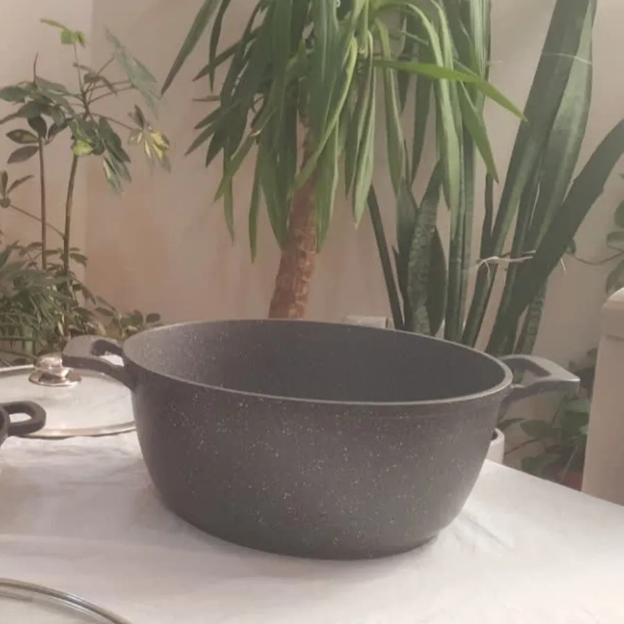 قابلمه و ماهی تابه